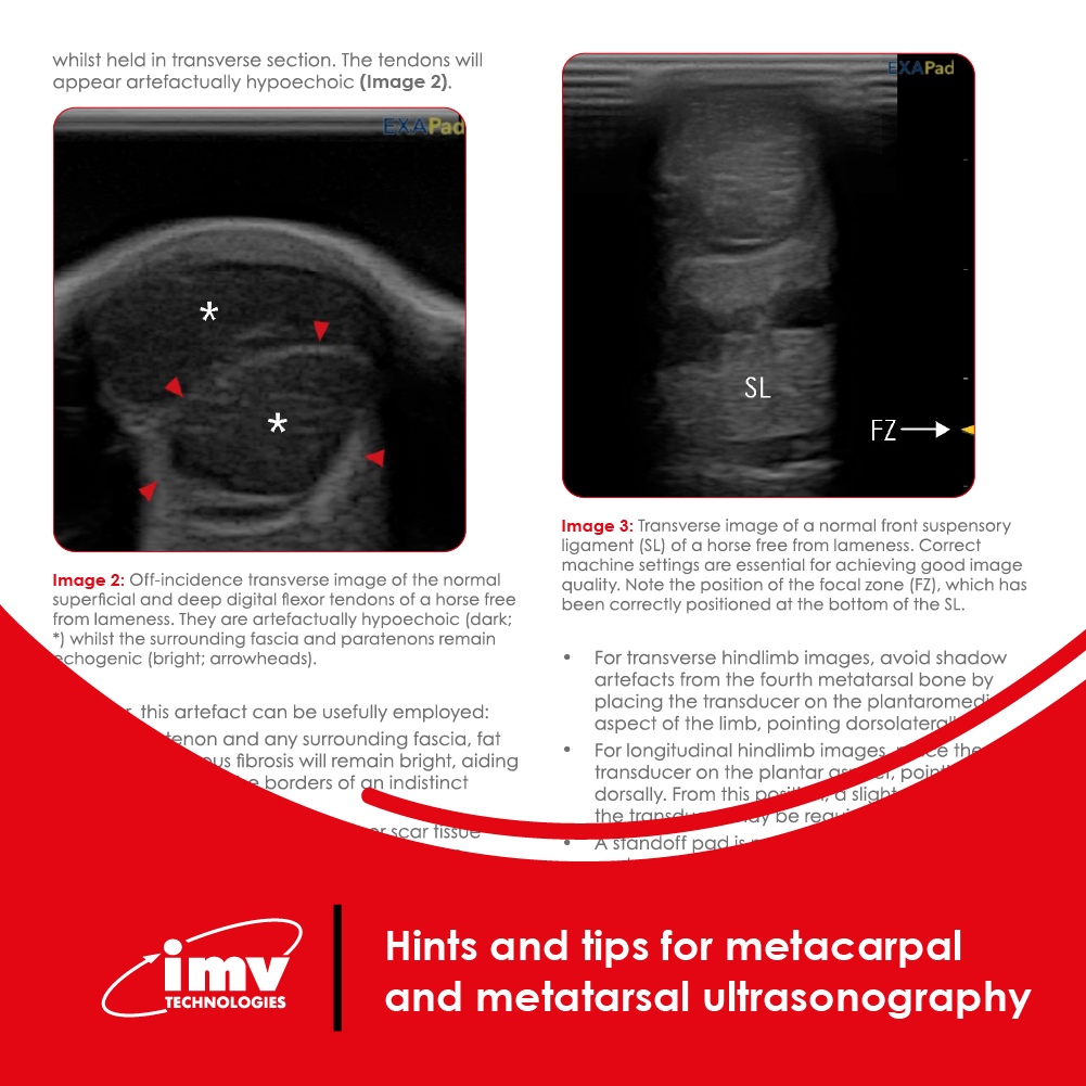 Free Download: Hints and Tips for Metacarpal and Metatarsal Ultrasonography