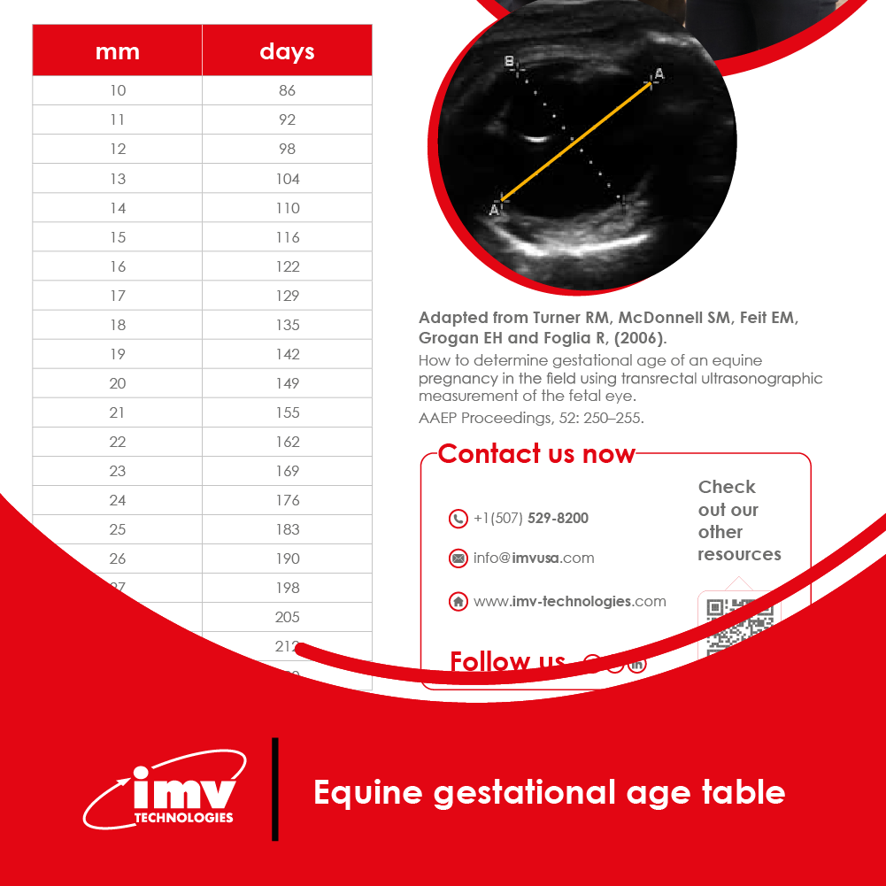 20251219 2476 Visuel PDF site v1 Visuel PDF 16