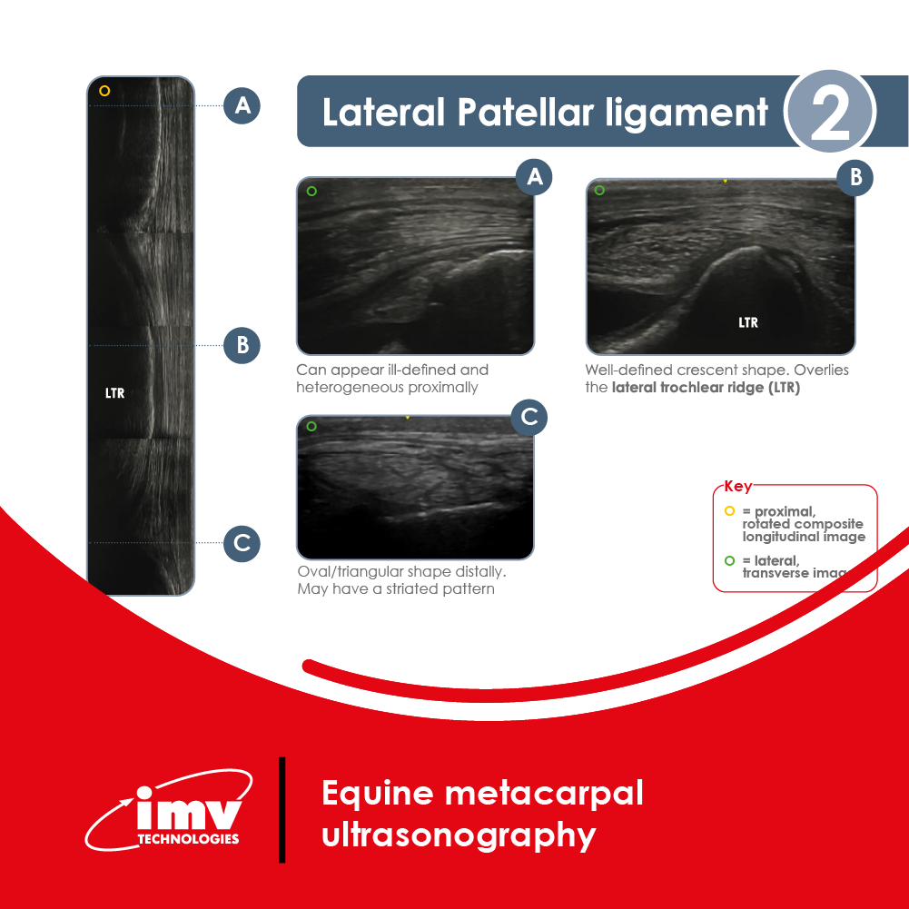 20251219 2476 Visuel PDF site v1 Visuel PDF 2