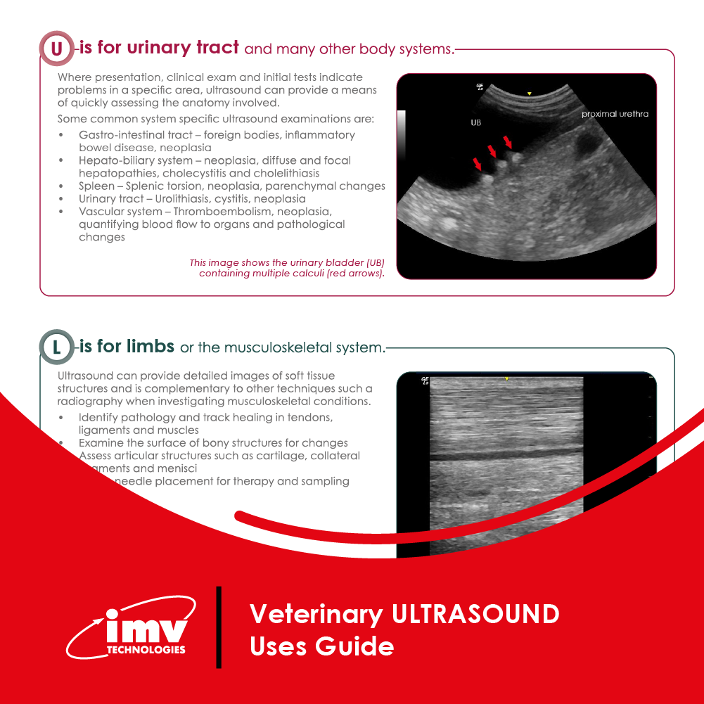 20251219 2476 Visuel PDF site v1 Visuel PDF 4