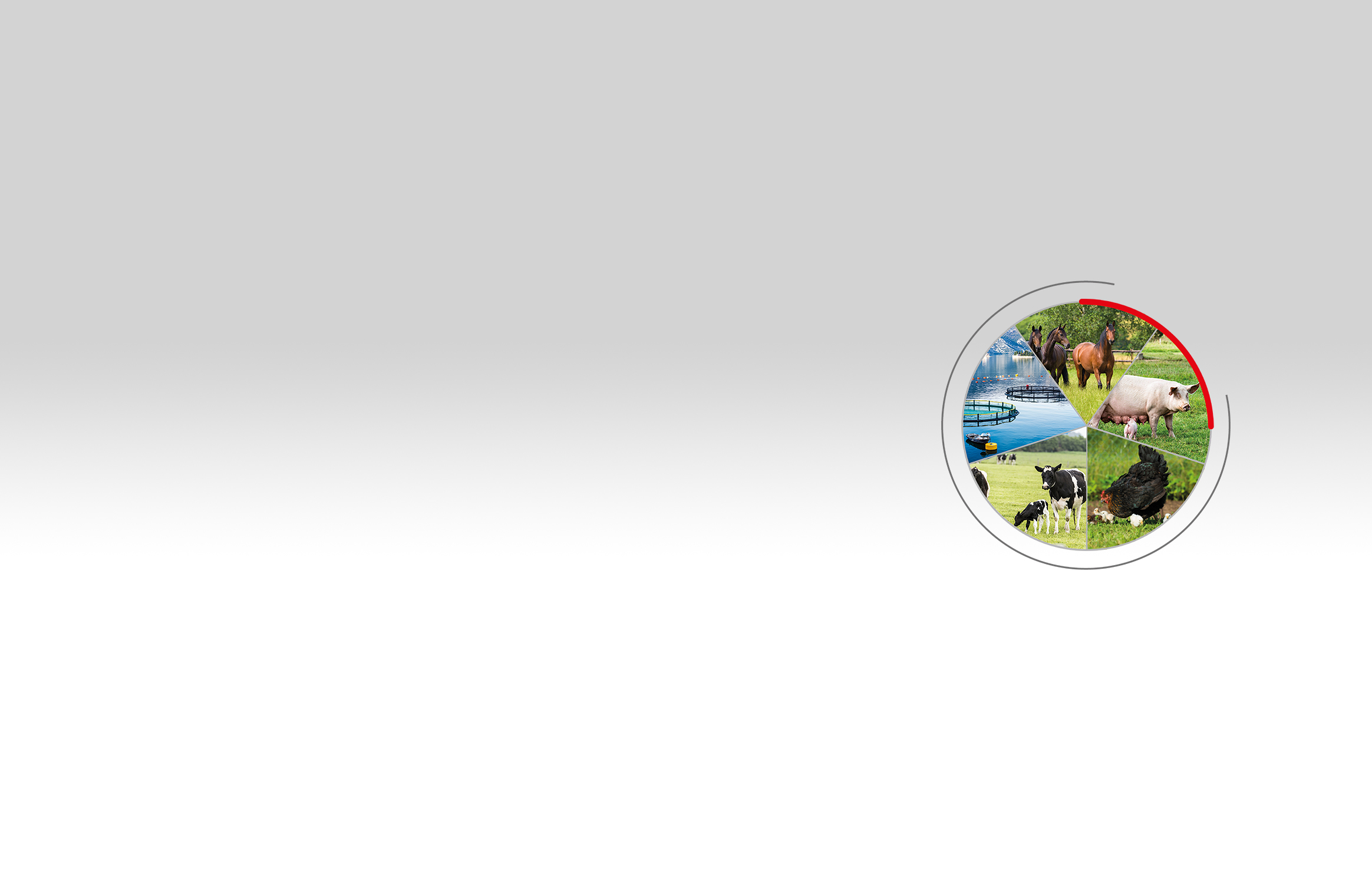 Reproduction biotechnologies