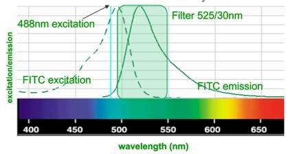 How a flow cytometer works?