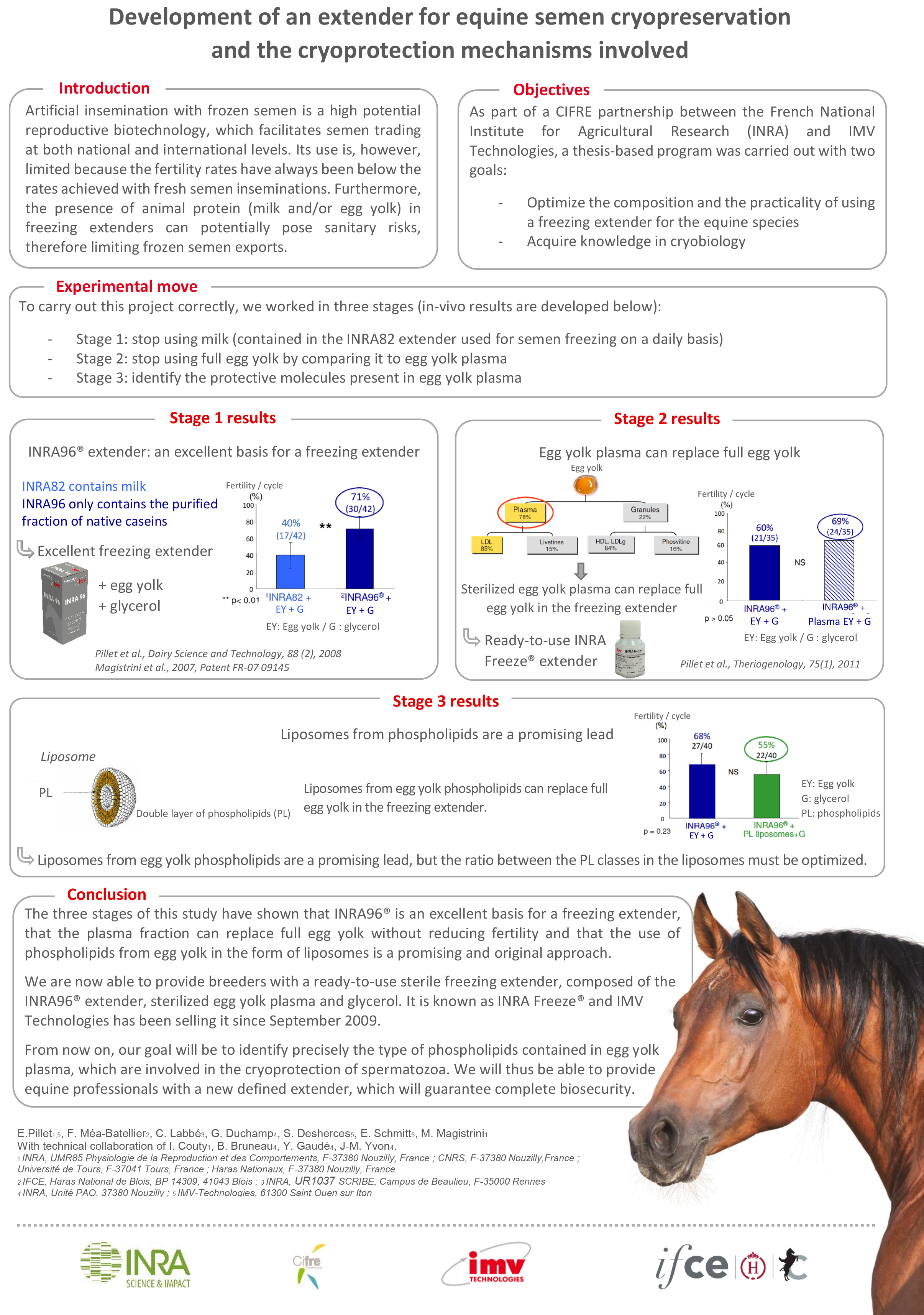 Development of an extender for equine semen cryopreservation and the cryoprotection mechanisms involved