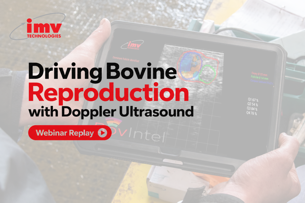 Webinar. Driving Bovine Reproduction with Doppler Ultrasound 