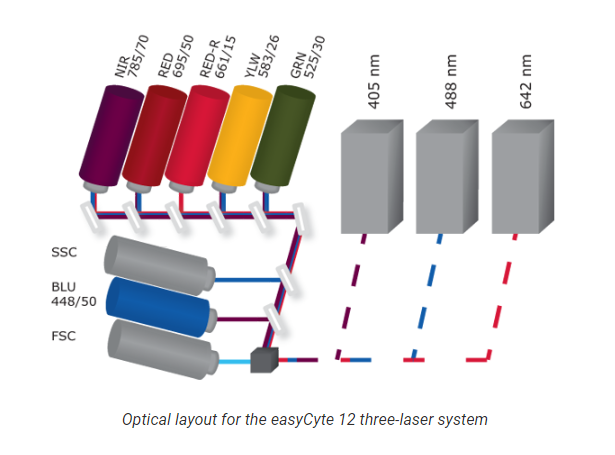Flow Cytometry Demystified: From Components to Application in Semen Analysis