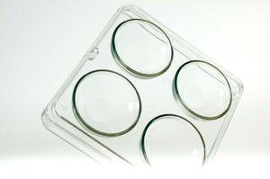 photo Sterilized dish