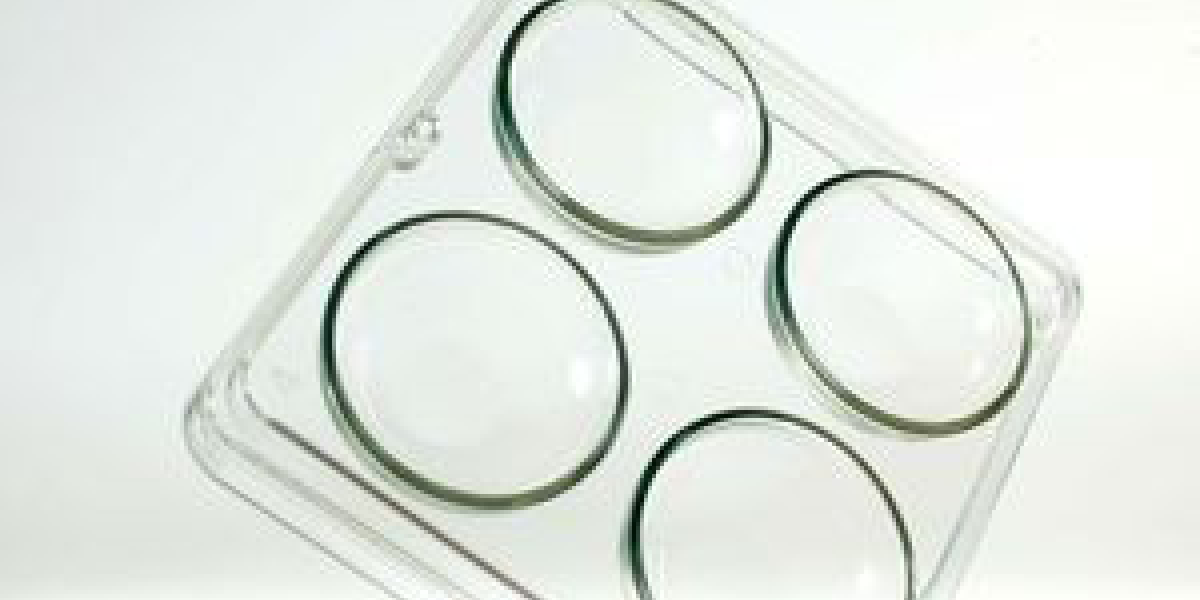 Sterilized PETRI dish IMV Technologies